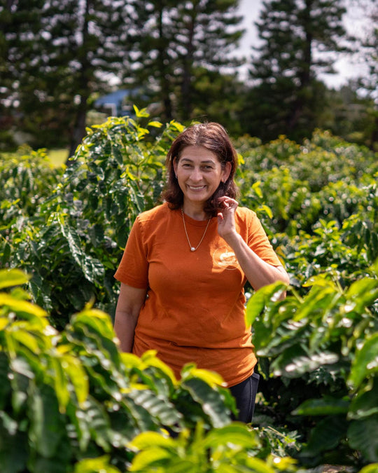 Ka'u Sunrise - Dark Roast - Hawaiian Single Origin